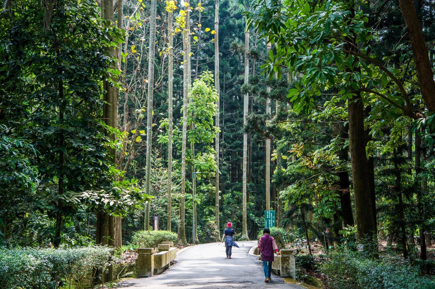 chiayi-arboretum (3)