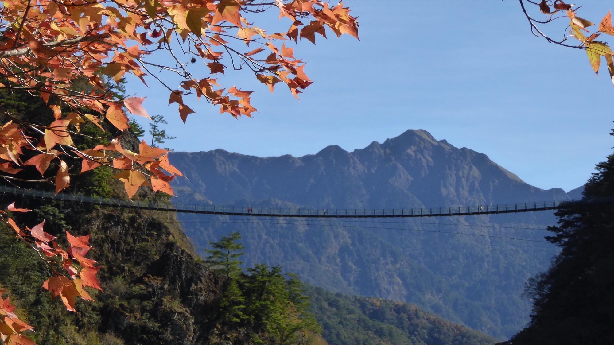 01_奧萬大吊橋.能高南峰.楓香